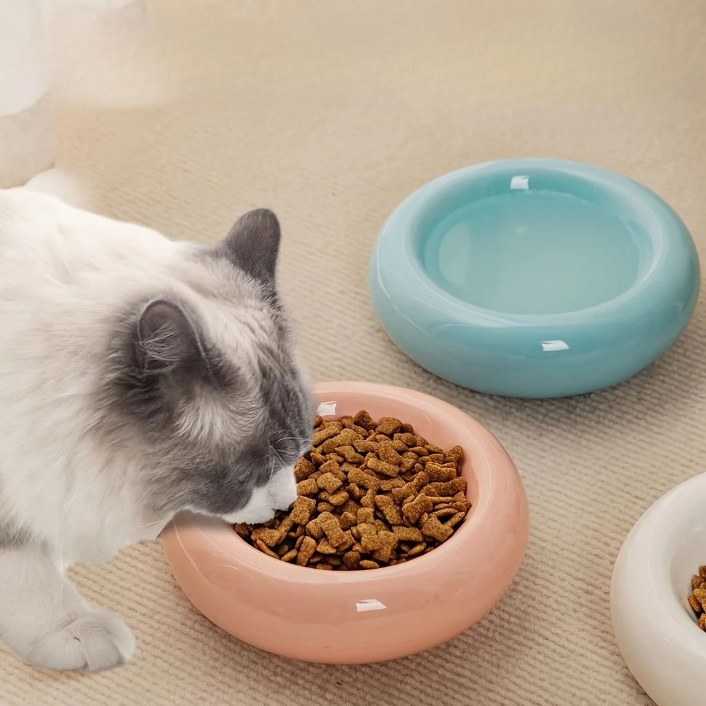 Bol en Céramique pour Chat