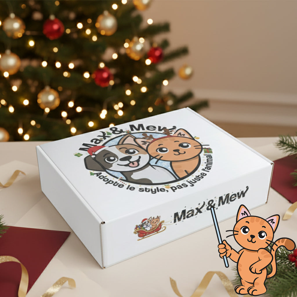 Box de Noël pour Chat — en Précommande !
