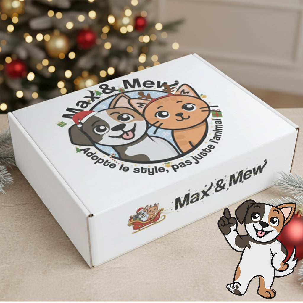 Box de Noël pour Chien — en Précommande !