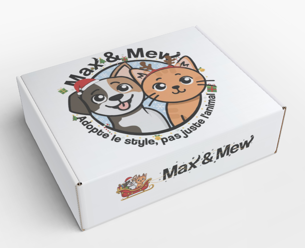Box de Noël pour Chien — en Précommande !