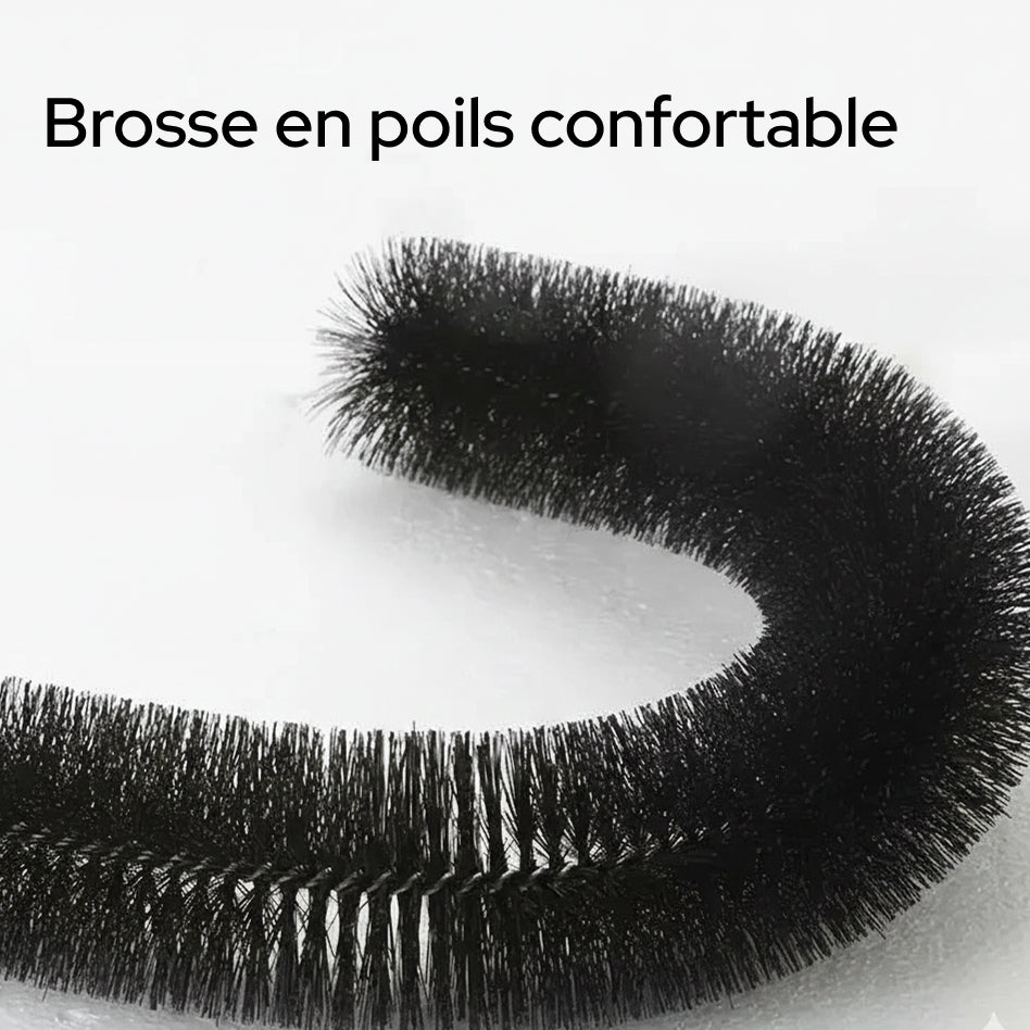 Brosse de Toilettage Auto pour Chat