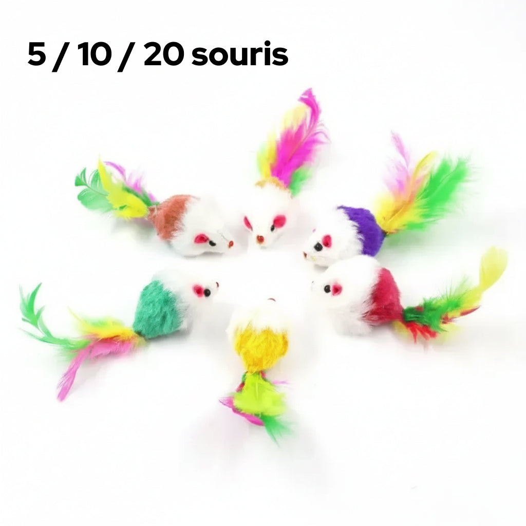 Jouet Souris en Peluche Colorée pour Chat - Lot de 5, 10 ou 20 souris