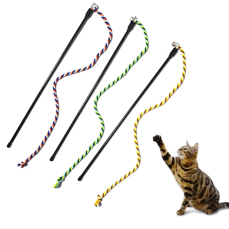Lasso interactif pour chat