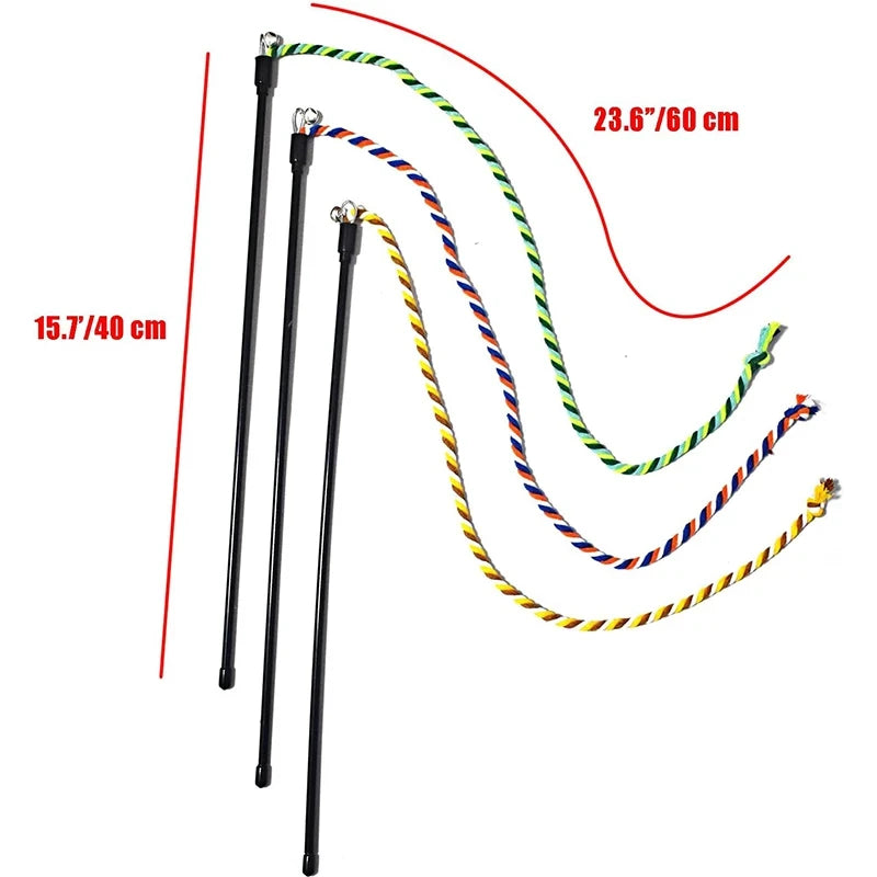 Lasso interactif pour chat