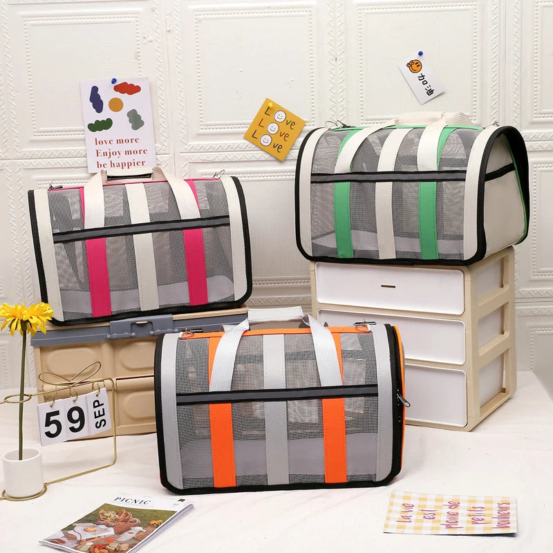 Sac de Transport transparent pour chat et petit chien