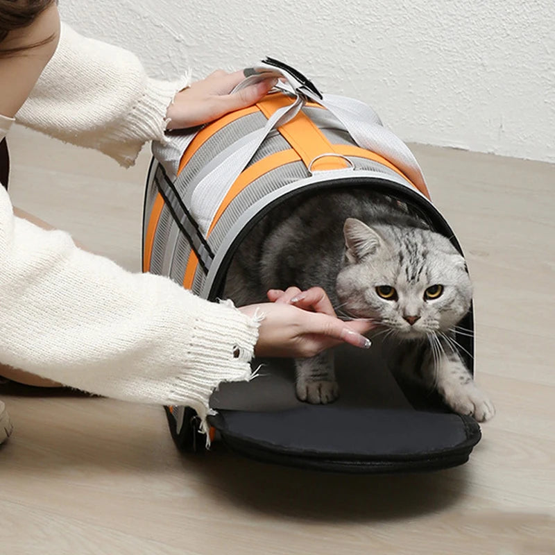 Sac de Transport transparent pour chat et petit chien