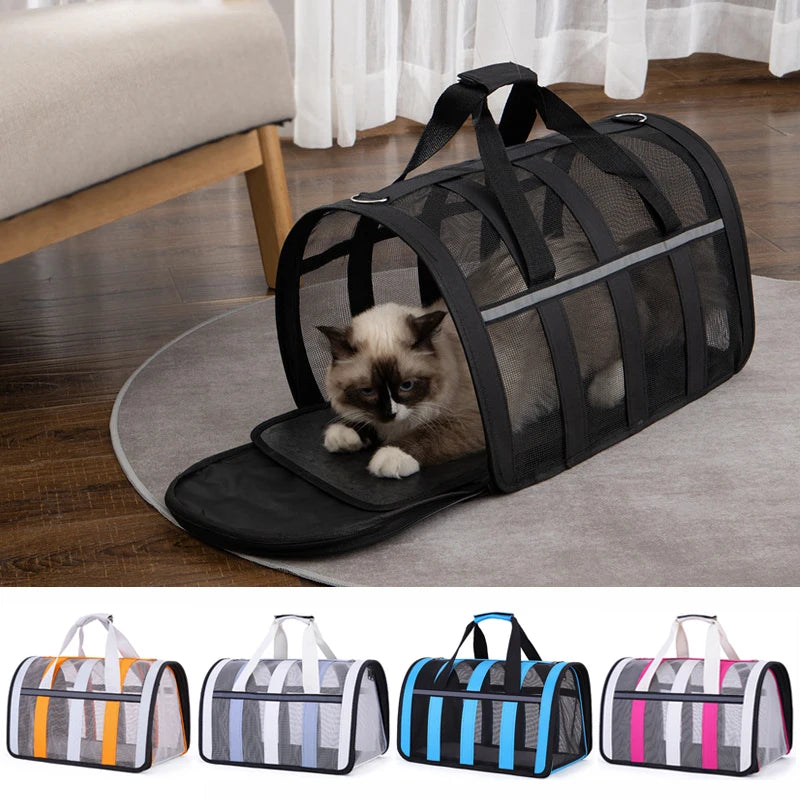 Sac de Transport transparent pour chat et petit chien