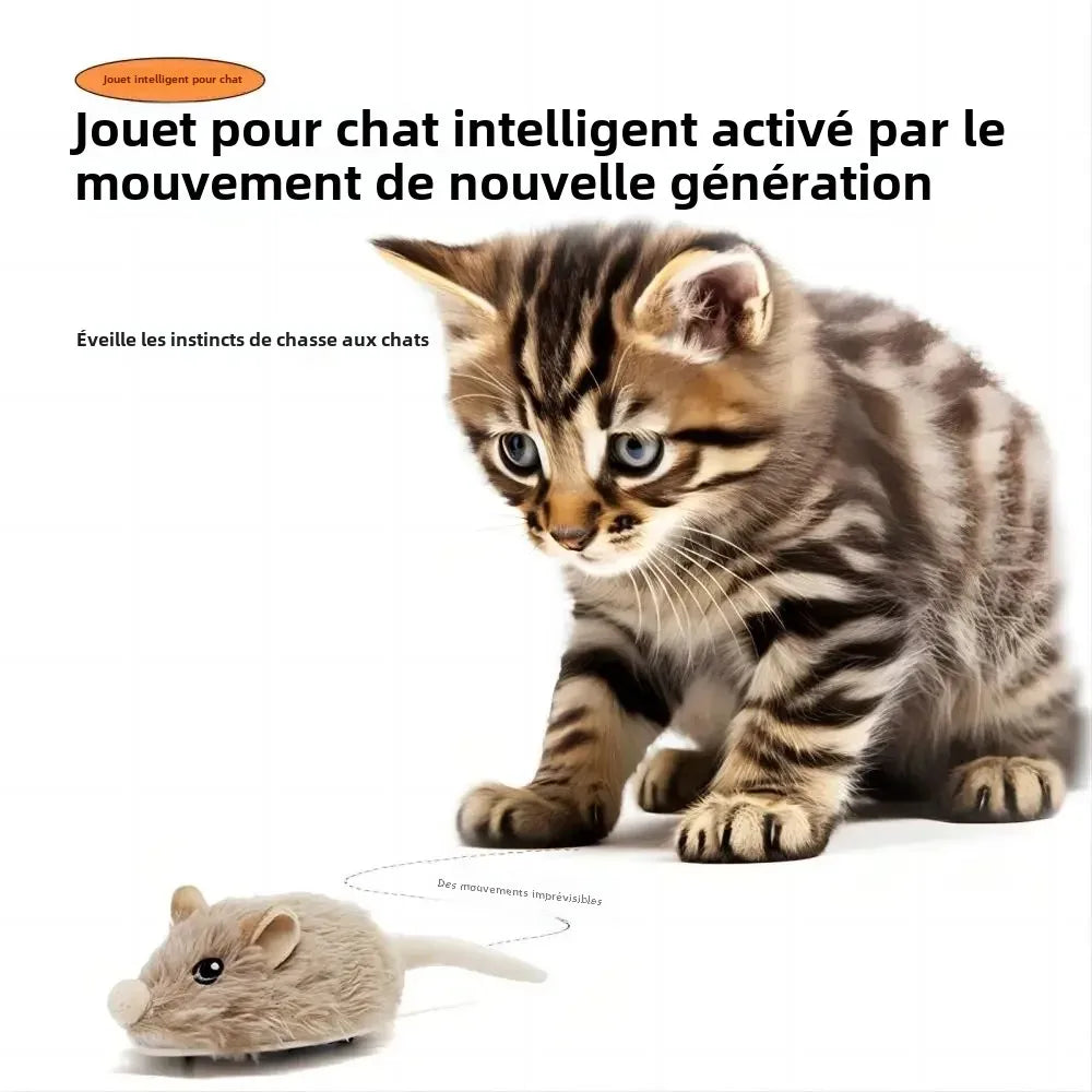 Jouet souris interactif rechargeable pour chat