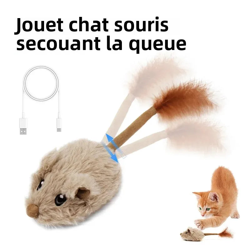 Jouet souris interactif rechargeable pour chat