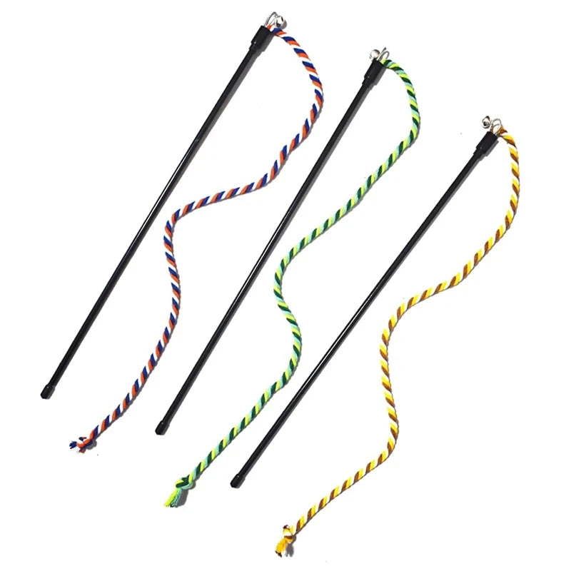 Lasso interactif pour chat