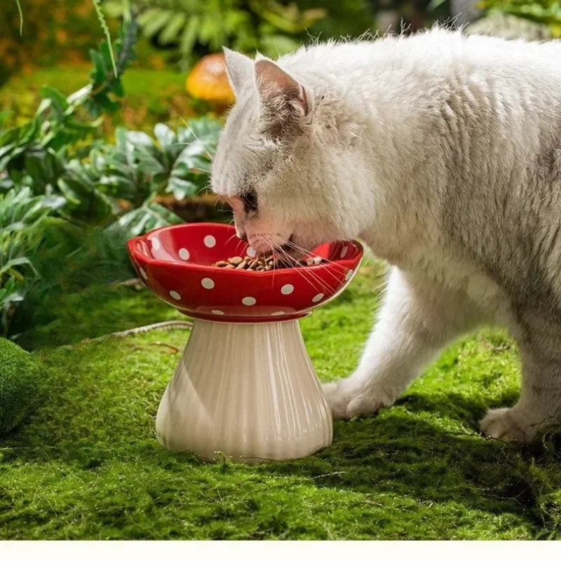 Gamelle Style Champignon pour chat