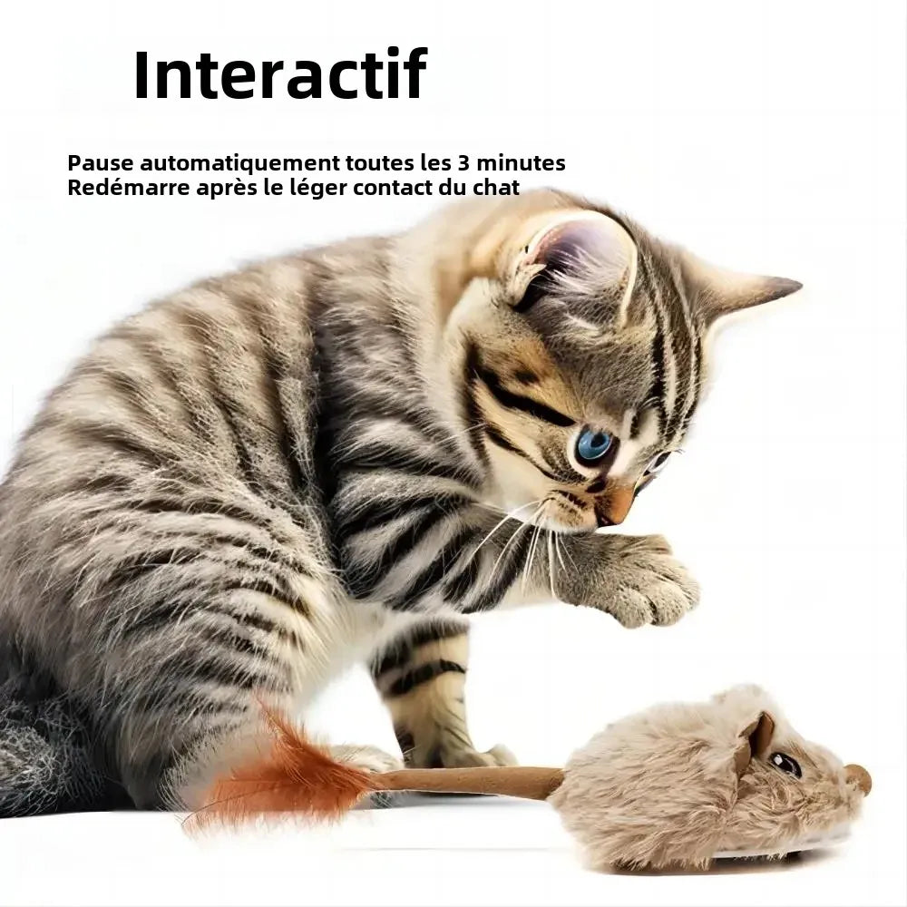 Jouet souris interactif rechargeable pour chat