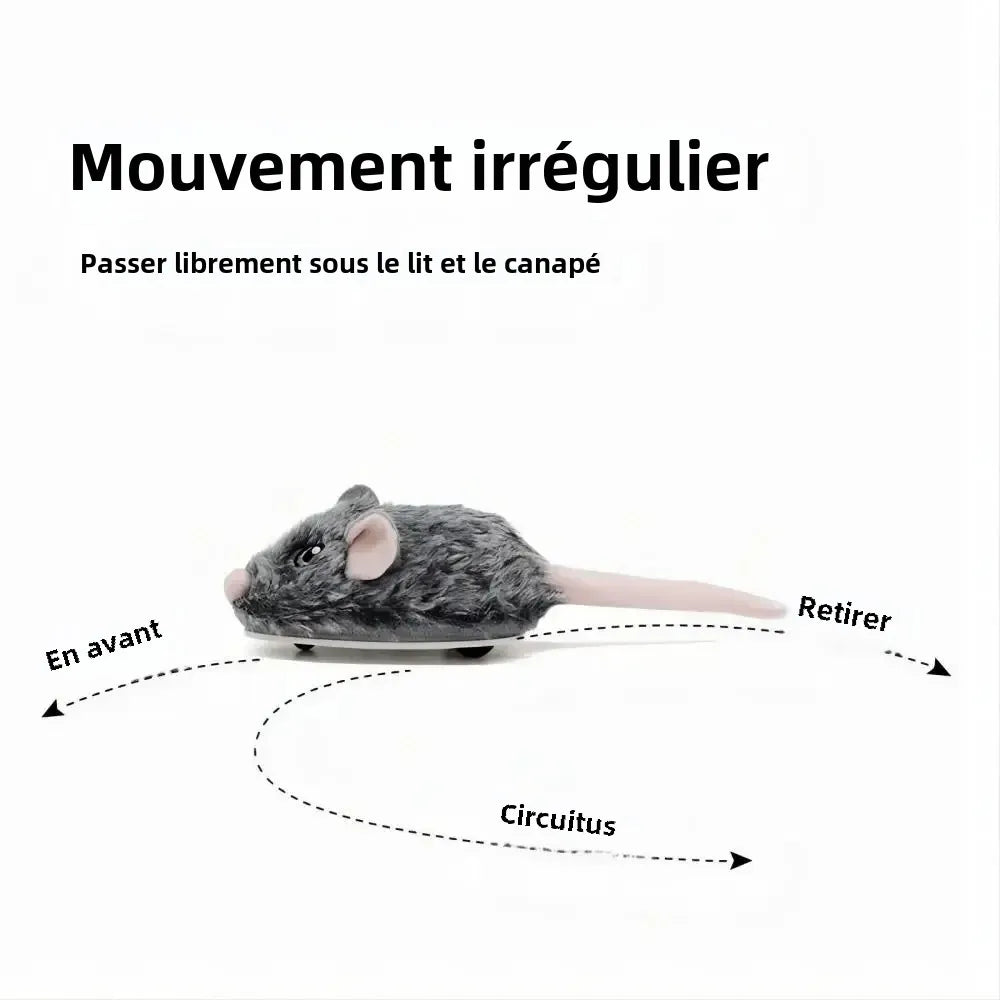Jouet souris interactif rechargeable pour chat