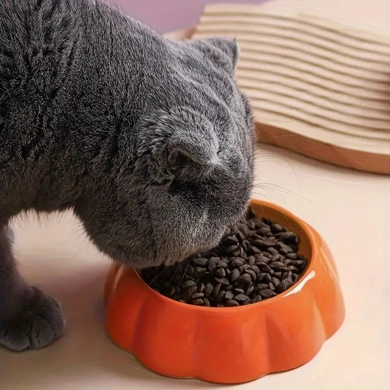 Bol fruit en céramique - Gamelle pour chat/chien